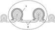 Hose construction